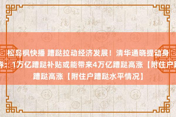 松岛枫快播 蹧跶拉动经济发展！清华通晓提动身1万亿元蹧跶券：1万亿蹧跶补贴或能带来4万亿蹧跶高涨【附住户蹧跶水平情况】