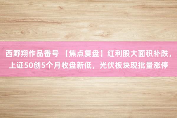 西野翔作品番号 【焦点复盘】红利股大面积补跌，上证50创5个月收盘新低，光伏板块现批量涨停