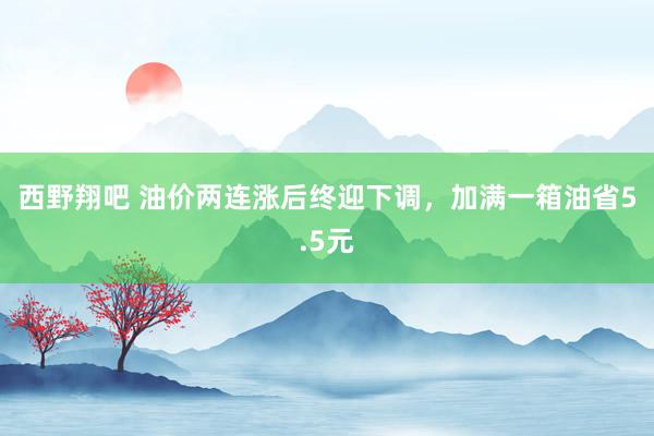 西野翔吧 油价两连涨后终迎下调，加满一箱油省5.5元