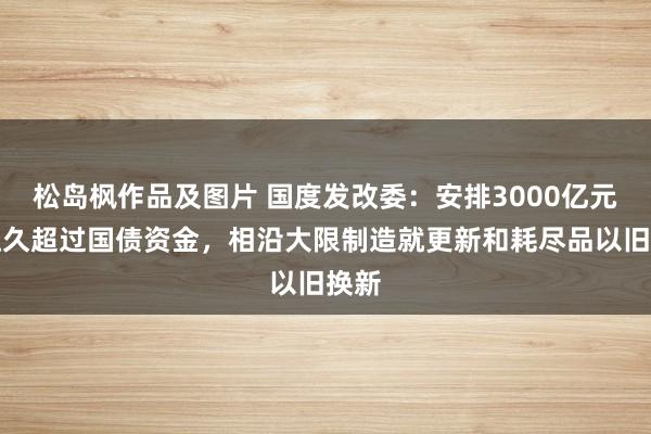 松岛枫作品及图片 国度发改委：安排3000亿元超恒久超过国债资金，相沿大限制造就更新和耗尽品以旧换新