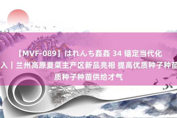 【MVF-089】はれんち姦姦 34 锚定当代化 矫正再深入｜兰州高原夏菜主产区新品亮相 提高优质种子种苗供给才气