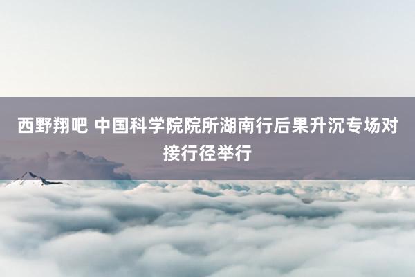 西野翔吧 中国科学院院所湖南行后果升沉专场对接行径举行