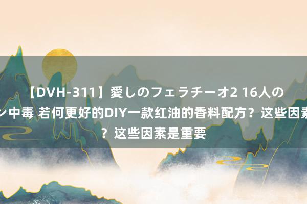 【DVH-311】愛しのフェラチーオ2 16人のザーメン中毒 若何更好的DIY一款红油的香料配方？这些因素是重要