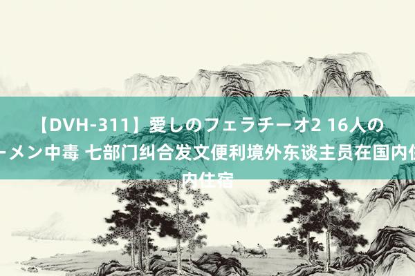 【DVH-311】愛しのフェラチーオ2 16人のザーメン中毒 七部门纠合发文便利境外东谈主员在国内住宿