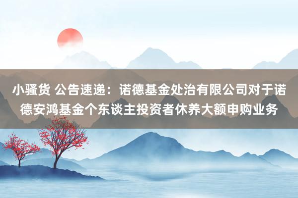 小骚货 公告速递：诺德基金处治有限公司对于诺德安鸿基金个东谈主投资者休养大额申购业务