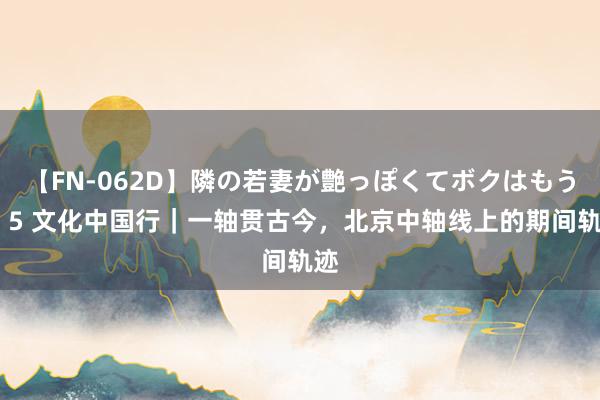 【FN-062D】隣の若妻が艶っぽくてボクはもう… 5 文化中国行｜一轴贯古今，北京中轴线上的期间轨迹