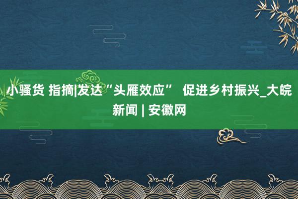 小骚货 指摘|发达“头雁效应”  促进乡村振兴_大皖新闻 | 安徽网