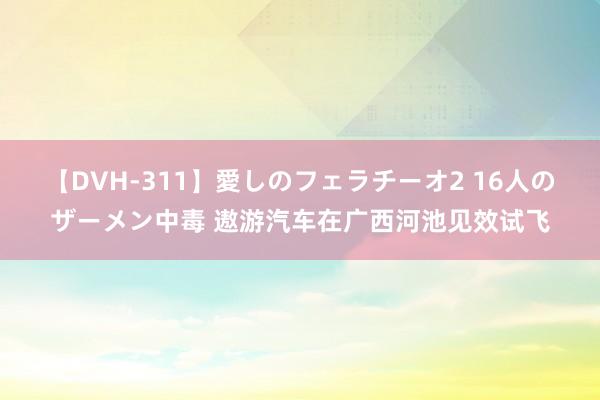 【DVH-311】愛しのフェラチーオ2 16人のザーメン中毒 遨游汽车在广西河池见效试飞