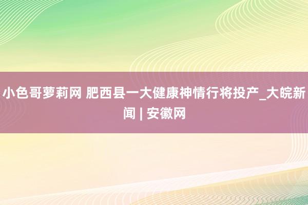 小色哥萝莉网 肥西县一大健康神情行将投产_大皖新闻 | 安徽网