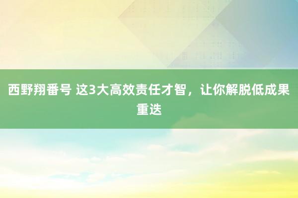 西野翔番号 这3大高效责任才智，让你解脱低成果重迭