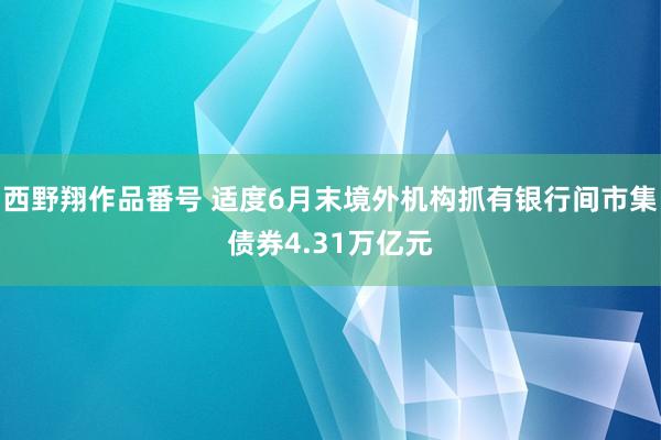 西野翔作品番号 适度6月末境外机构抓有银行间市集债券4.31万亿元