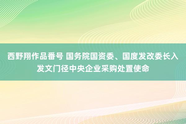 西野翔作品番号 国务院国资委、国度发改委长入发文门径中央企业采购处置使命