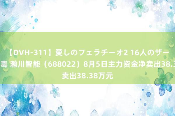 【DVH-311】愛しのフェラチーオ2 16人のザーメン中毒 瀚川智能（688022）8月5日主力资金净卖出38.38万元