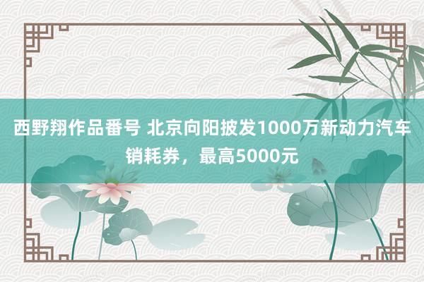 西野翔作品番号 北京向阳披发1000万新动力汽车销耗券，最高5000元