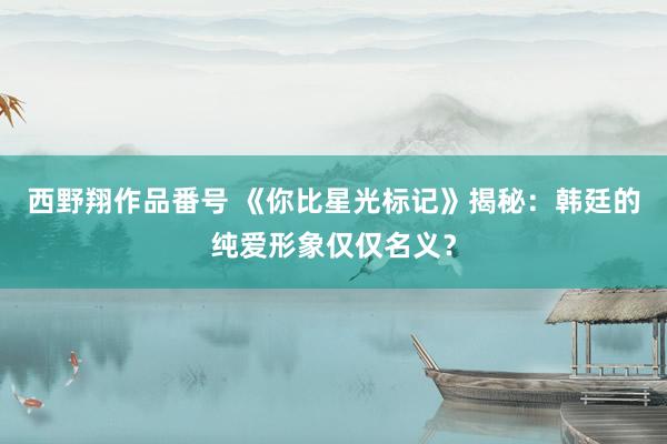 西野翔作品番号 《你比星光标记》揭秘：韩廷的纯爱形象仅仅名义？