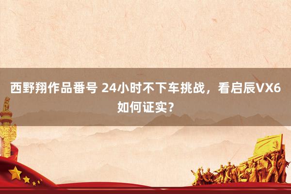 西野翔作品番号 24小时不下车挑战，看启辰VX6如何证实？