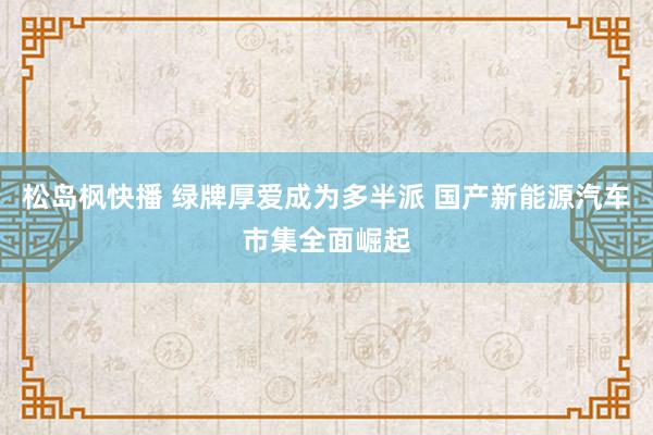 松岛枫快播 绿牌厚爱成为多半派 国产新能源汽车市集全面崛起