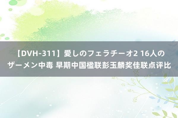 【DVH-311】愛しのフェラチーオ2 16人のザーメン中毒 早期中国楹联彭玉麟奖佳联点评比