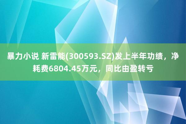 暴力小说 新雷能(300593.SZ)发上半年功绩，净耗费6804.45万元，同比由盈转亏