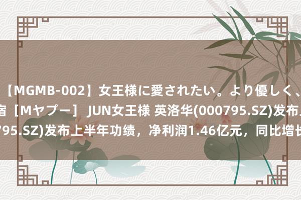 【MGMB-002】女王様に愛されたい。より優しく、よりいやらしく。 新宿［Mヤプー］ JUN女王様 英洛华(000795.SZ)发布上半年功绩，净利润1.46亿元，同比增长158.16%