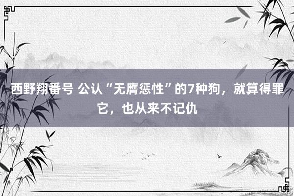 西野翔番号 公认“无膺惩性”的7种狗，就算得罪它，也从来不记仇