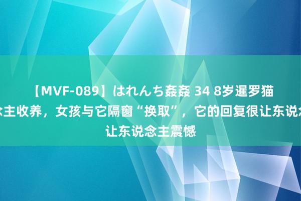 【MVF-089】はれんち姦姦 34 8岁暹罗猫无东说念主收养，女孩与它隔窗“换取”，它的回复很让东说念主震憾