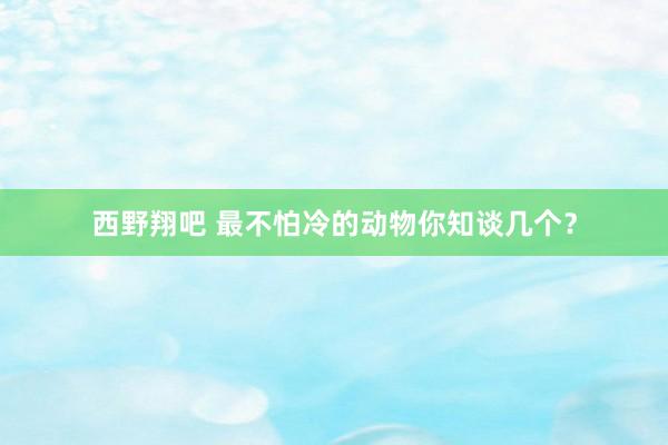 西野翔吧 最不怕冷的动物你知谈几个？