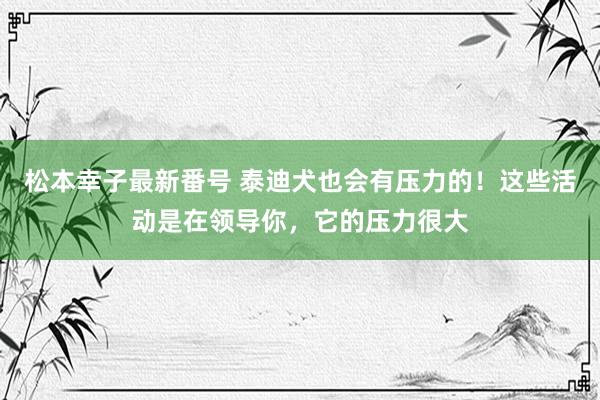 松本幸子最新番号 泰迪犬也会有压力的！这些活动是在领导你，它的压力很大