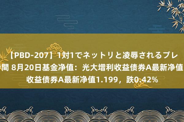 【PBD-207】1対1でネットリと凌辱されるプレミア女優たち 8時間 8月20日基金净值：光大增利收益债券A最新净值1.199，跌0.42%