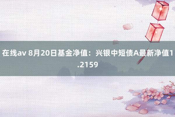 在线av 8月20日基金净值：兴银中短债A最新净值1.2159