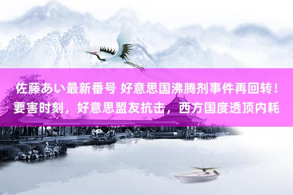 佐藤あい最新番号 好意思国沸腾剂事件再回转！要害时刻，好意思盟友抗击，西方国度透顶内耗