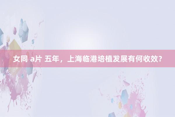 女同 a片 五年，上海临港培植发展有何收效？