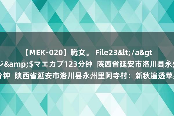 【MEK-020】職女。 File23</a>2011-05-20プレステージ&$マエカブ123分钟  陕西省延安市洛川县永州里阿寺村：新秋遍透苹果香