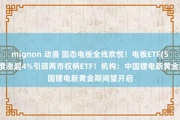 mignon 动漫 固态电板全线欢悦！电板ETF(561910)一度涨超4%引颈两市权柄ETF！机构：中国锂电新黄金期间望开启