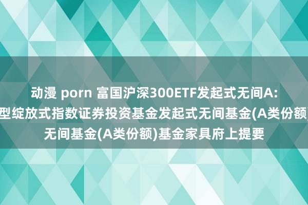 动漫 porn 富国沪深300ETF发起式无间A: 富国沪深300交游型绽放式指数证券投资基金发起式无间基金(A类份额)基金家具府上提要