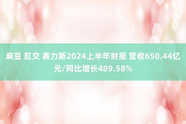 麻豆 肛交 赛力斯2024上半年财报 营收650.44亿元/同比增长489.58%