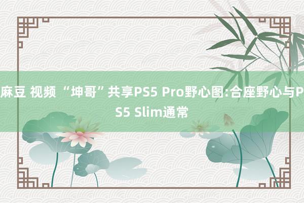 麻豆 视频 “坤哥”共享PS5 Pro野心图:合座野心与PS5 Slim通常