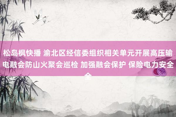 松岛枫快播 渝北区经信委组织相关单元开展高压输电融会防山火聚会巡检 加强融会保护 保险电力安全