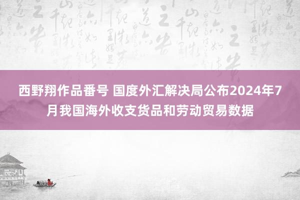 西野翔作品番号 国度外汇解决局公布2024年7月我国海外收支货品和劳动贸易数据