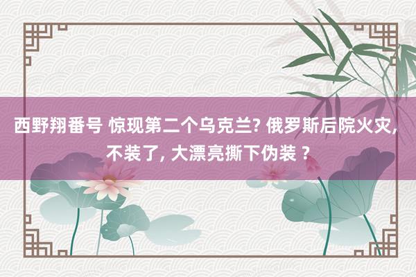 西野翔番号 惊现第二个乌克兰? 俄罗斯后院火灾， 不装了， 大漂亮撕下伪装 ?