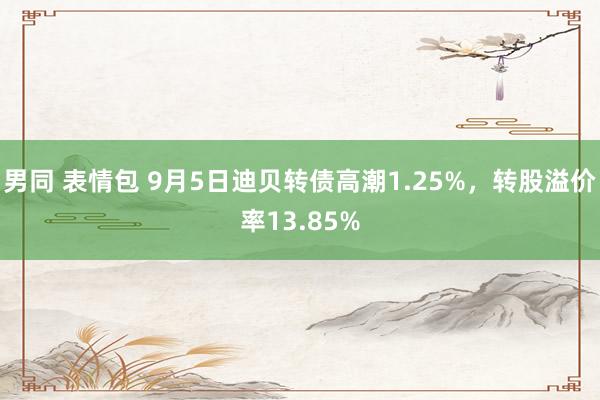 男同 表情包 9月5日迪贝转债高潮1.25%，转股溢价率13.85%