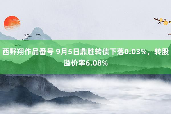 西野翔作品番号 9月5日鼎胜转债下落0.03%，转股溢价率6.08%