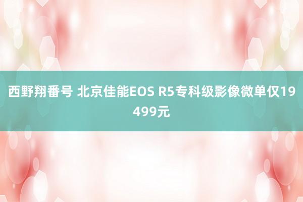 西野翔番号 北京佳能EOS R5专科级影像微单仅19499元