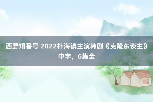 西野翔番号 2022朴海镇主演韩剧《克隆东谈主》中字，6集全