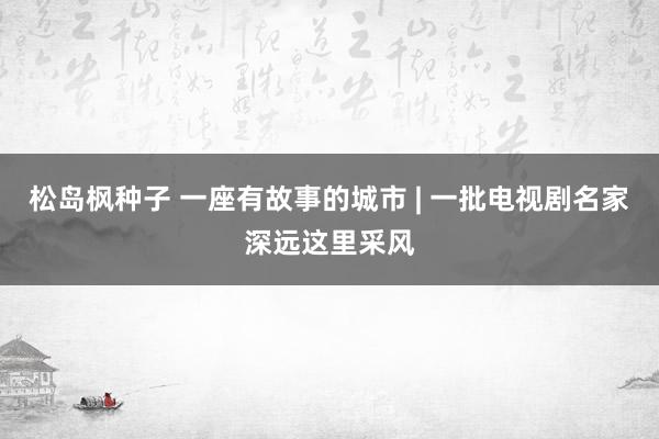 松岛枫种子 一座有故事的城市 | 一批电视剧名家深远这里采风