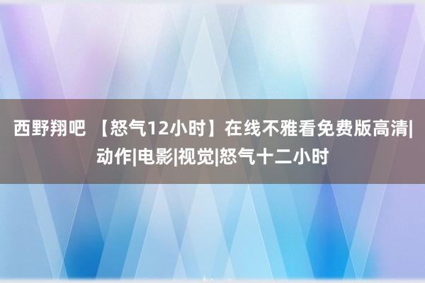 西野翔吧 【怒气12小时】在线不雅看免费版高清|动作|电影|视觉|怒气十二小时