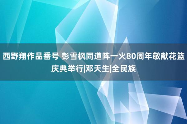 西野翔作品番号 彭雪枫同道阵一火80周年敬献花篮庆典举行|邓天生|全民族