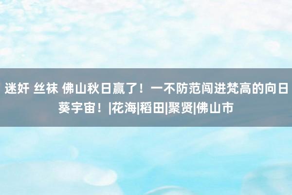 迷奸 丝袜 佛山秋日赢了！一不防范闯进梵高的向日葵宇宙！|花海|稻田|聚贤|佛山市