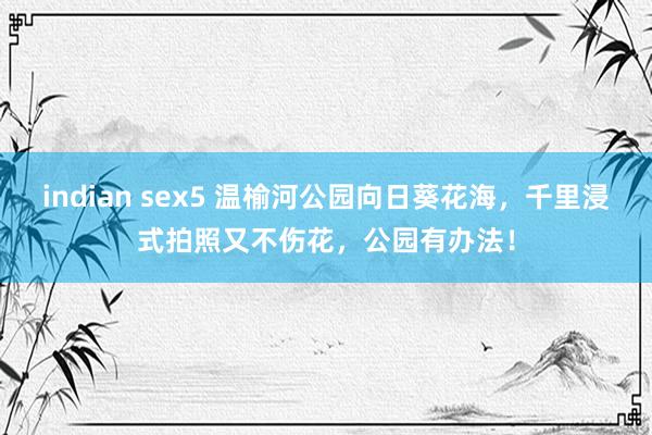 indian sex5 温榆河公园向日葵花海，千里浸式拍照又不伤花，公园有办法！