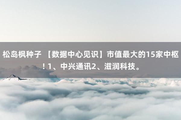 松岛枫种子 【数据中心见识】市值最大的15家中枢! 1、中兴通讯2、滋润科技。
